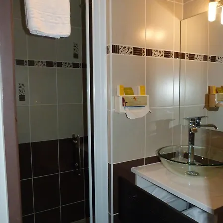 Отель Cit'Hotel Europeen